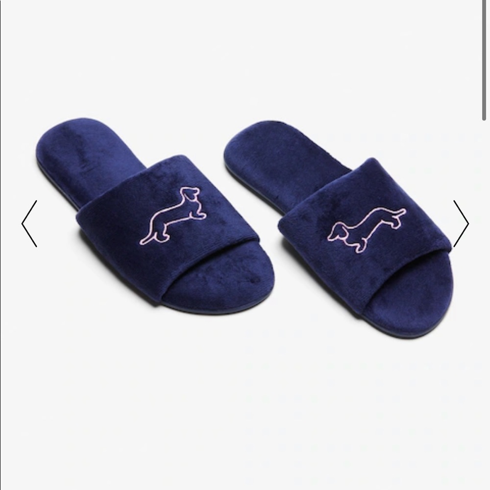 Peter Alexander Penny Logo Slides